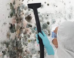 Mold Remediation for Rental Properties in Flemington, PA